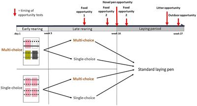 Making the most of life: environmental choice during rearing enhances the ability of laying hens to take opportunities